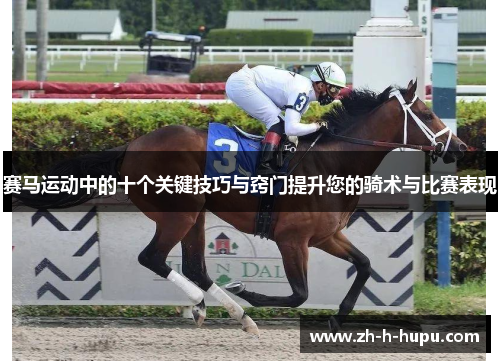 赛马运动中的十个关键技巧与窍门提升您的骑术与比赛表现 赛马运动中的十个关键技巧与窍门提升您的骑术与比赛表现