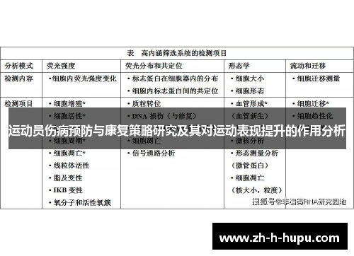 运动员伤病预防与康复策略研究及其对运动表现提升的作用分析 运动员伤病预防与康复策略研究及其对运动表现提升的作用分析
