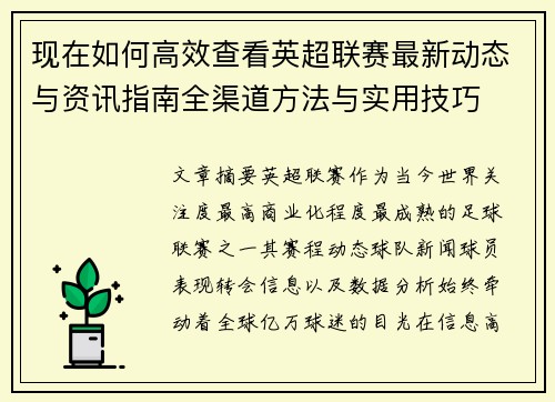 现在如何高效查看英超联赛最新动态与资讯指南全渠道方法与实用技巧